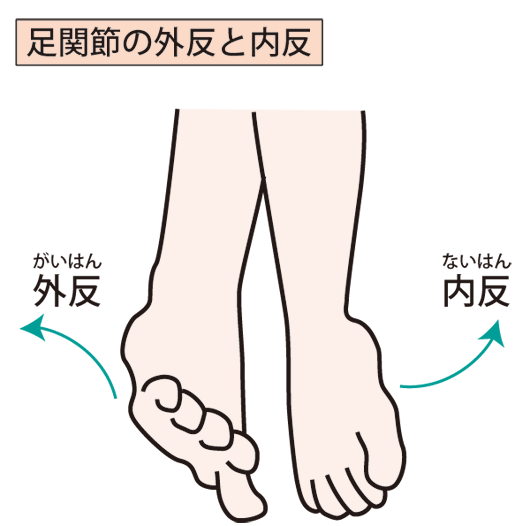 足首のイラスト